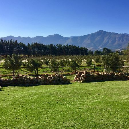 Olive Cottage Franschhoek Kültér fotó