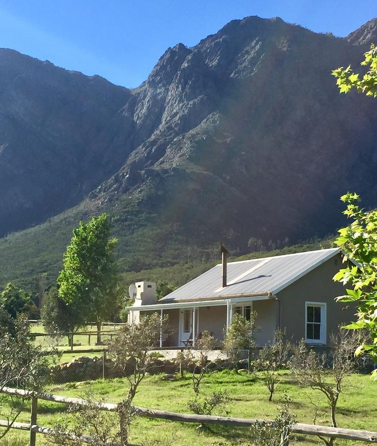 Olive Cottage Franschhoek Kültér fotó