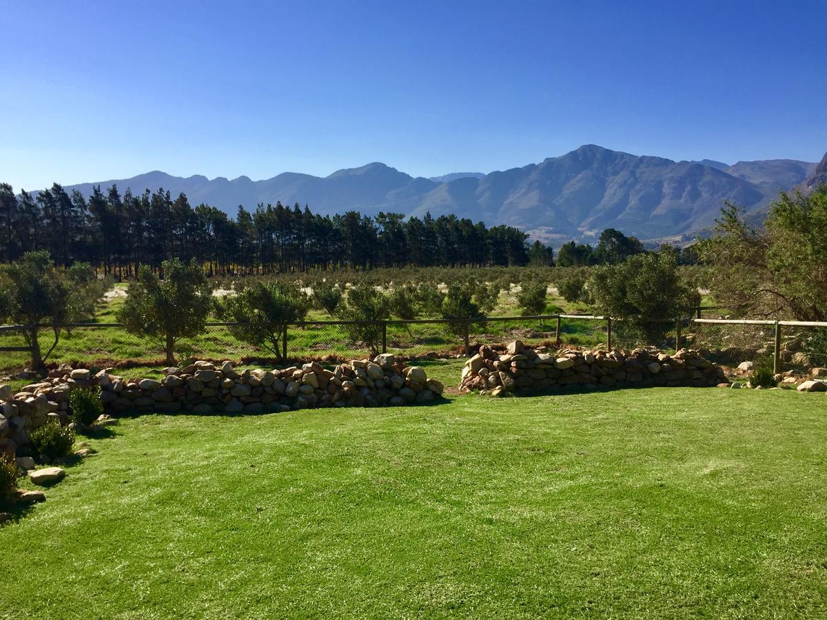 Olive Cottage Franschhoek Kültér fotó