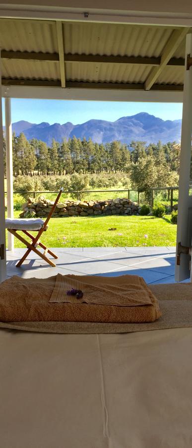 Olive Cottage Franschhoek Kültér fotó